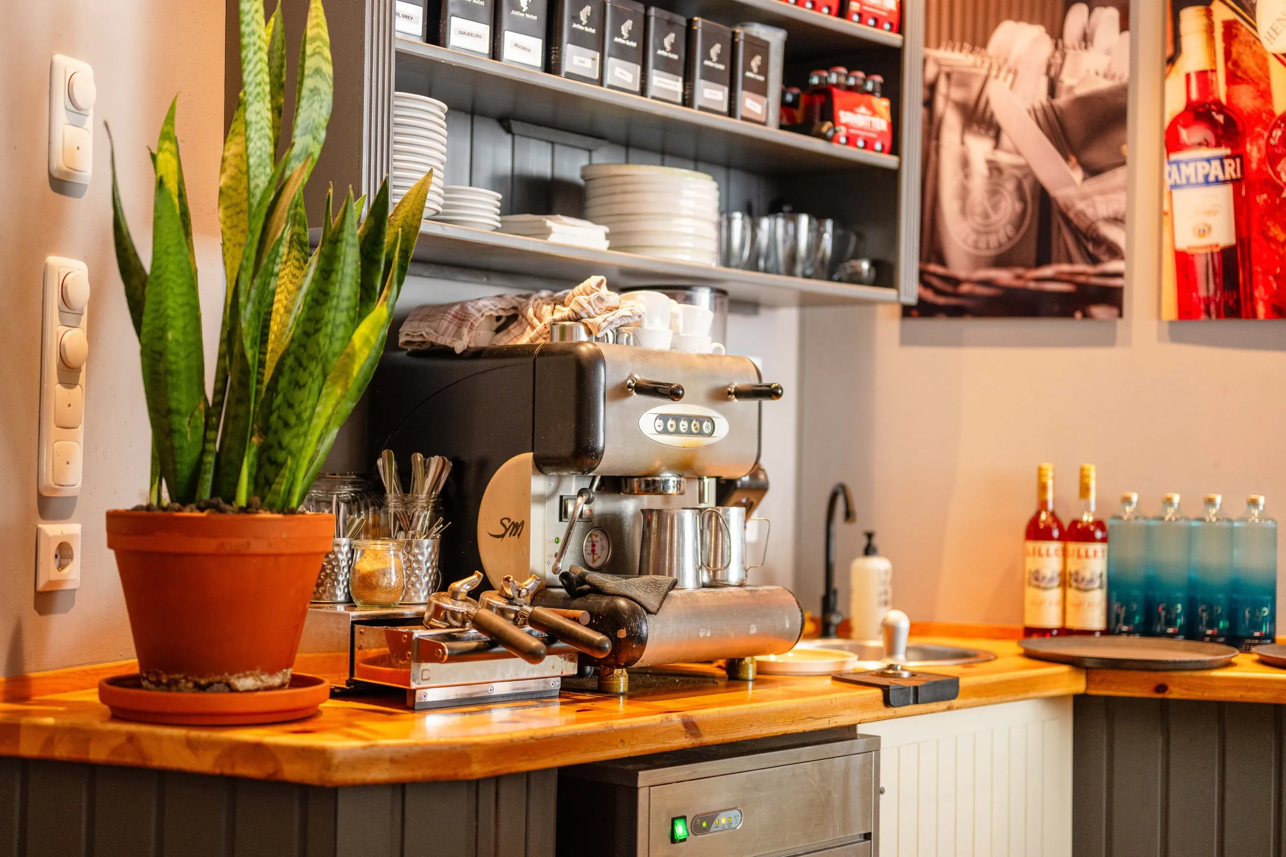 Kaffeeecke mit Siebträger-Espressomaschine, Tassen, Besteckbechern und einer Zimmerpflanze auf einer Holzplatte, darüber ein Regal mit Tee und Geschirr.