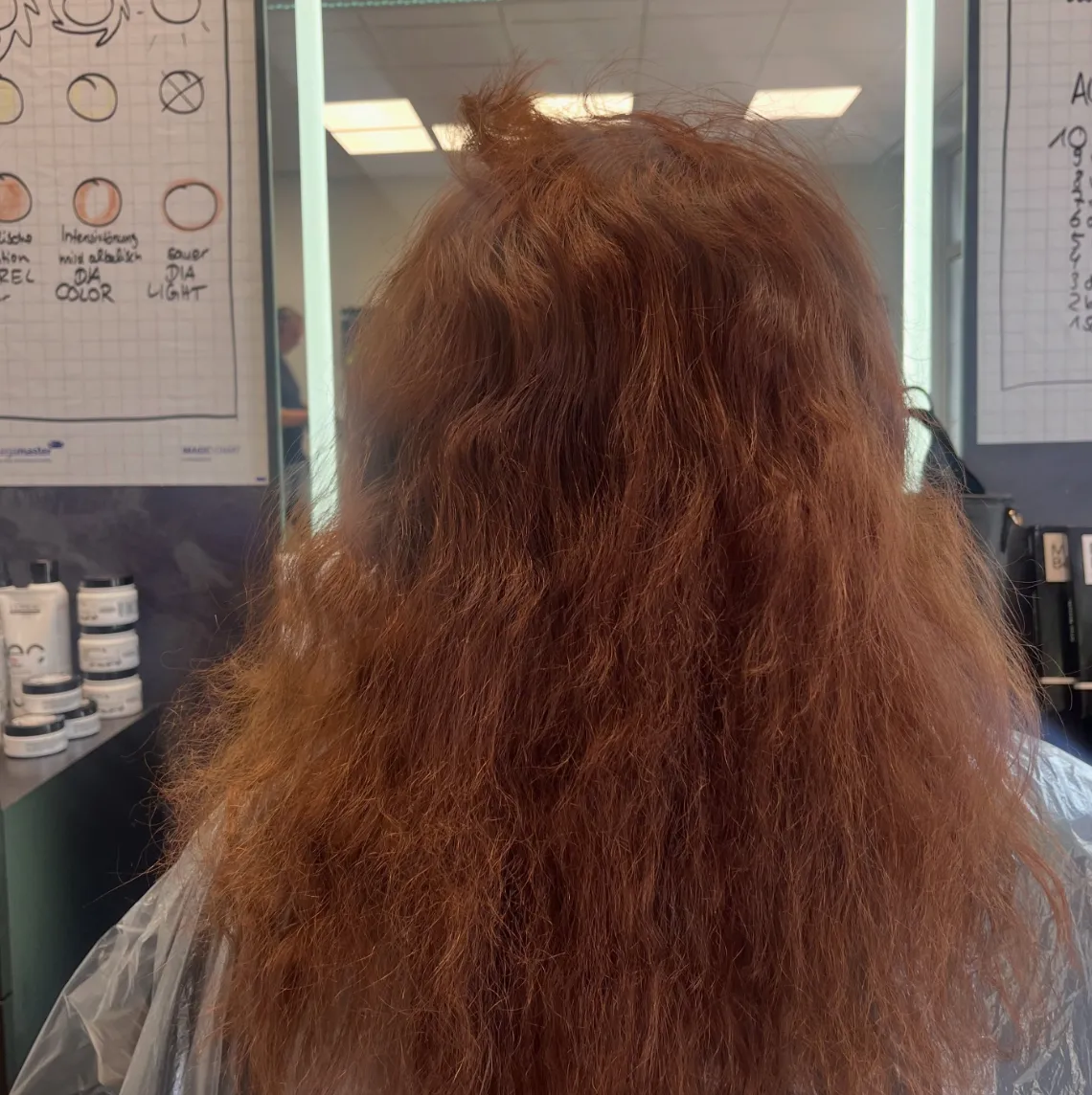 Vorher: krauses, stark aufgeraut wirkendes Kupferrot ohne erkennbare Form, von hinten im Salon.