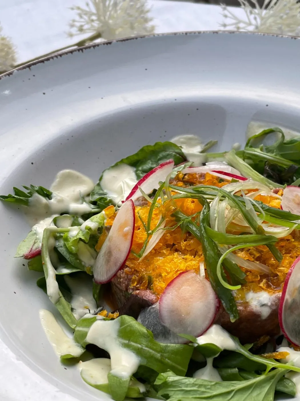 Salat mit Radieschenscheiben, Rucola, Joghurtdressing und Orangenstücken in einem tiefen Teller.