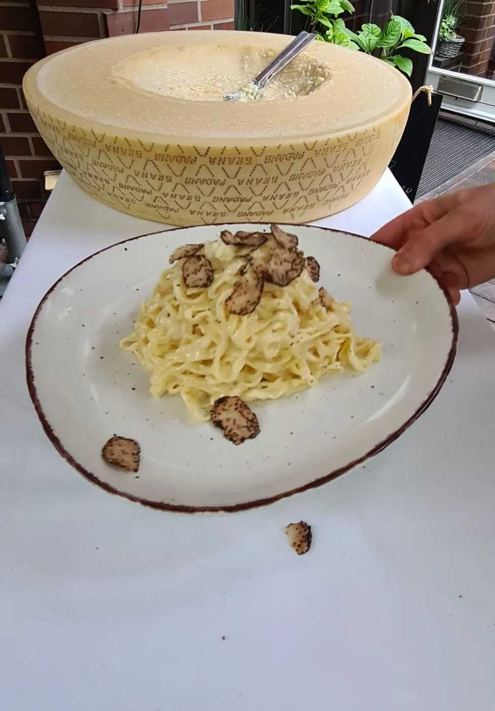 Tagliolini mit frischen Trüffelscheiben auf einem Teller, dahinter der Parmesanlaib, in dem die Pasta geschwenkt wurde.